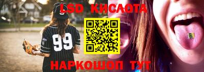 spice Кунгур