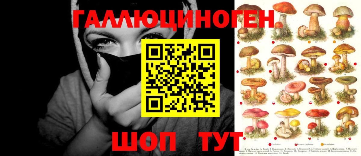 Еманжелинск  Псилоцибиновые грибы мицелий  Галлюциногенные грибы GOLDEN TEACHER  Вход с VPN 